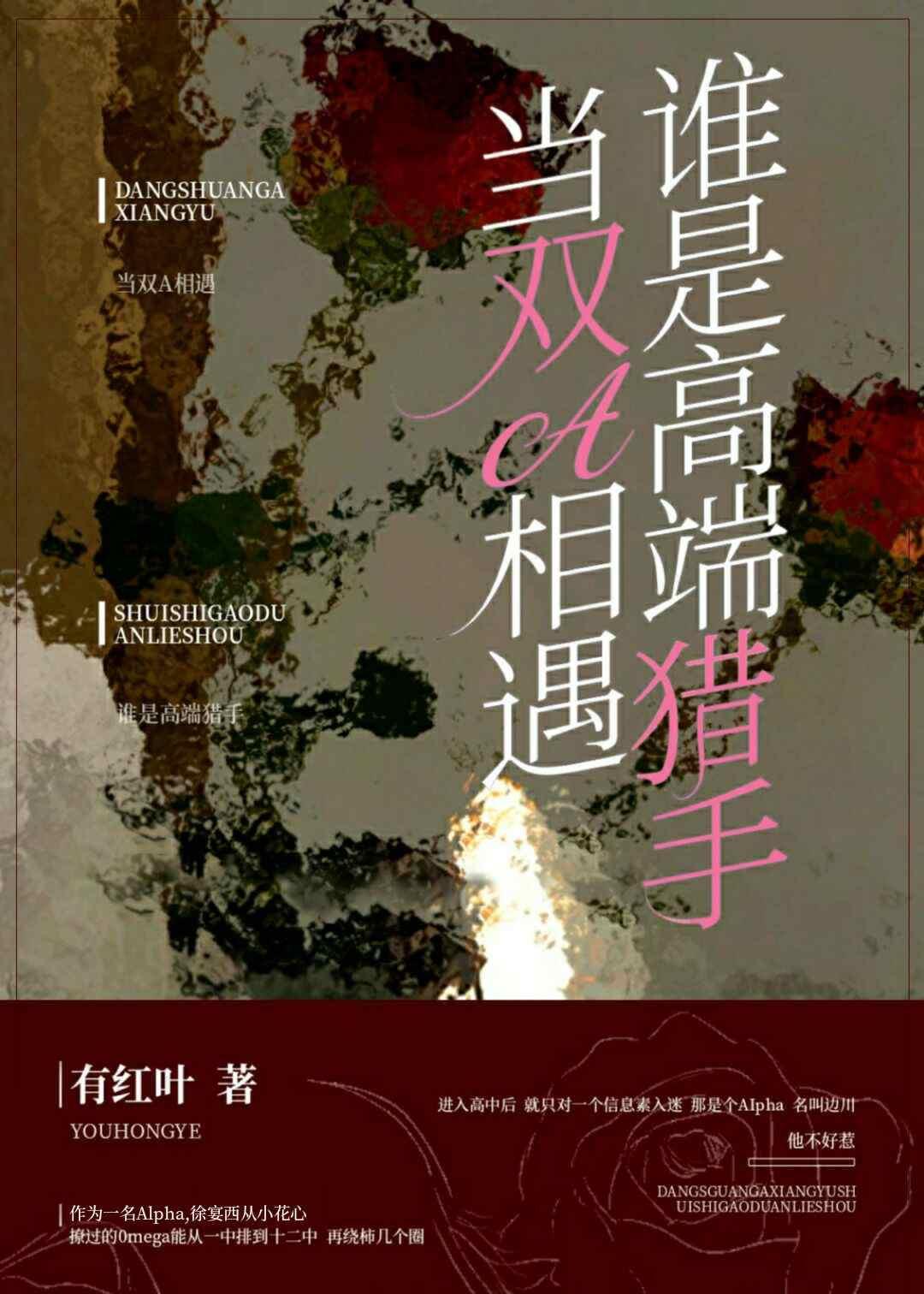 穿入维京当霸主 二两糖精